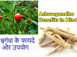 Ashwagandha ke fayde, Ashwagandha benefits in hindi