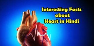 interesting facts about heart in hindi