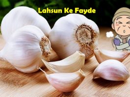 lahsun ke fayde garlic benefits in hindi